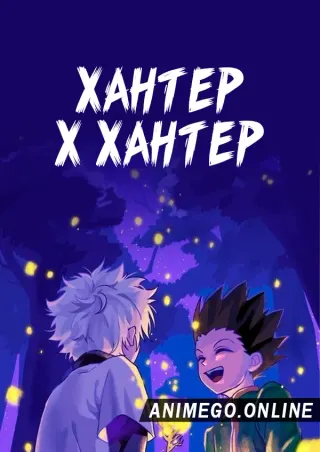 Хантер х Хантер (Ремейк, 2011)